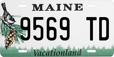 ME license plate 9569TD