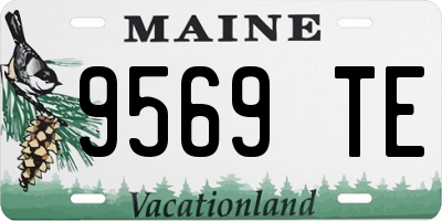 ME license plate 9569TE