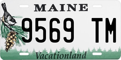 ME license plate 9569TM