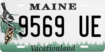 ME license plate 9569UE