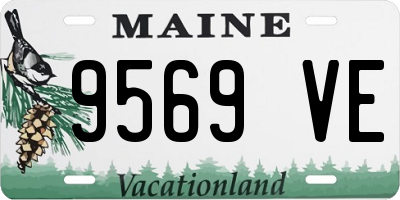 ME license plate 9569VE
