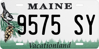 ME license plate 9575SY