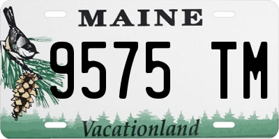 ME license plate 9575TM