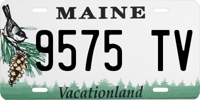 ME license plate 9575TV