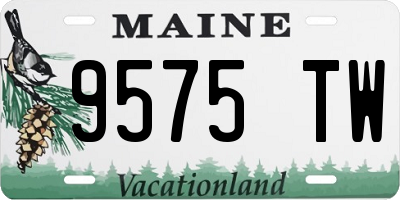 ME license plate 9575TW