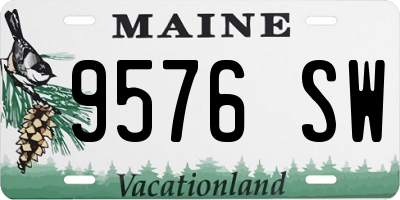 ME license plate 9576SW