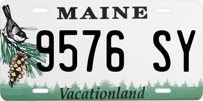 ME license plate 9576SY