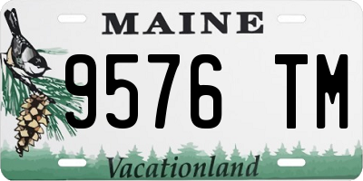 ME license plate 9576TM