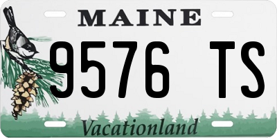 ME license plate 9576TS