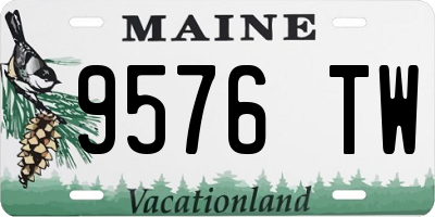 ME license plate 9576TW