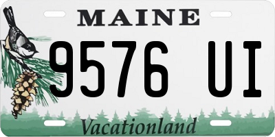 ME license plate 9576UI