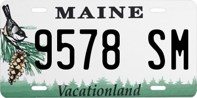 ME license plate 9578SM