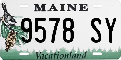 ME license plate 9578SY