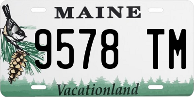 ME license plate 9578TM