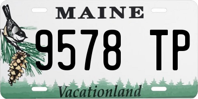 ME license plate 9578TP