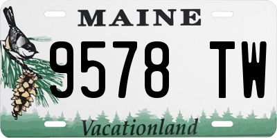 ME license plate 9578TW
