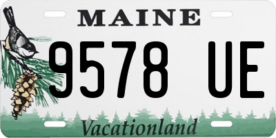 ME license plate 9578UE