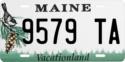 ME license plate 9579TA