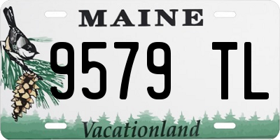 ME license plate 9579TL