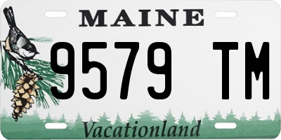 ME license plate 9579TM
