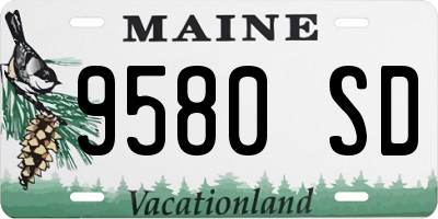 ME license plate 9580SD