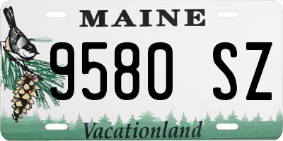 ME license plate 9580SZ