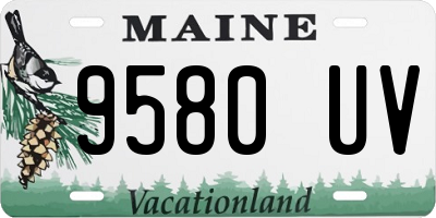 ME license plate 9580UV