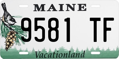 ME license plate 9581TF