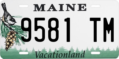 ME license plate 9581TM