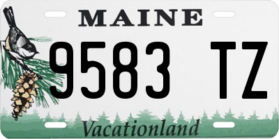 ME license plate 9583TZ