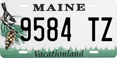 ME license plate 9584TZ