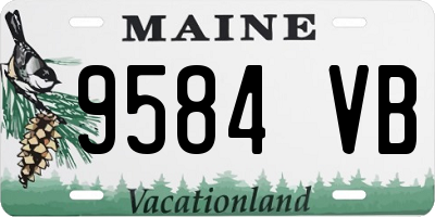 ME license plate 9584VB