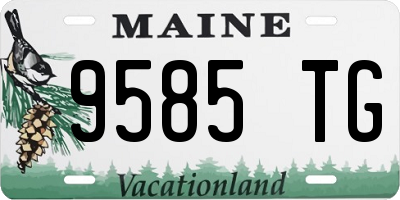ME license plate 9585TG