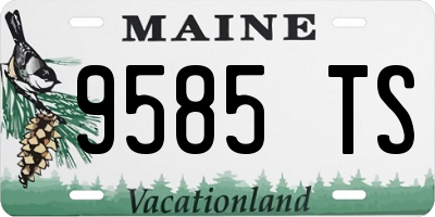 ME license plate 9585TS