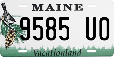 ME license plate 9585UO