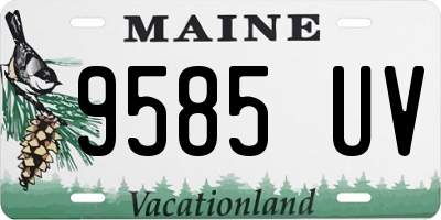 ME license plate 9585UV