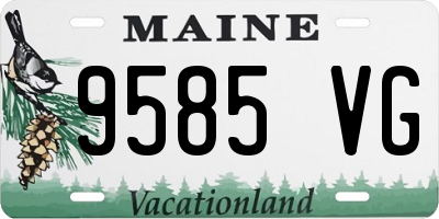 ME license plate 9585VG