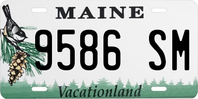 ME license plate 9586SM