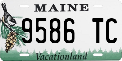 ME license plate 9586TC