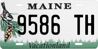 ME license plate 9586TH