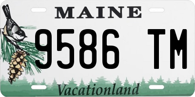 ME license plate 9586TM