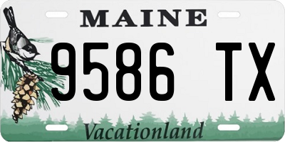 ME license plate 9586TX