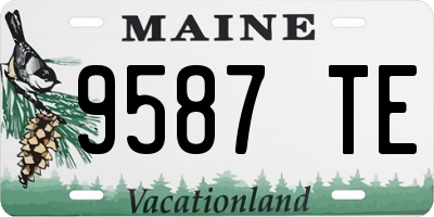 ME license plate 9587TE