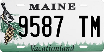 ME license plate 9587TM