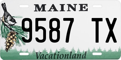 ME license plate 9587TX