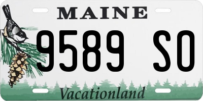 ME license plate 9589SO