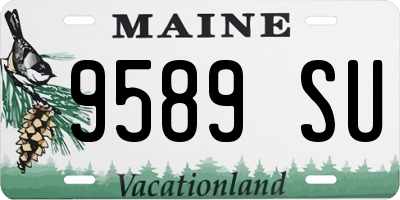 ME license plate 9589SU