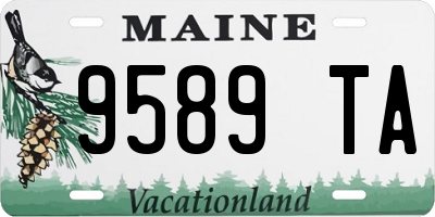 ME license plate 9589TA