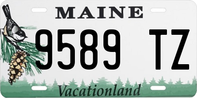 ME license plate 9589TZ