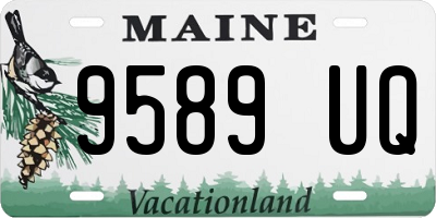 ME license plate 9589UQ